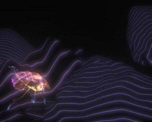 Miradas 2 - Ráfaga 59 - Sin título