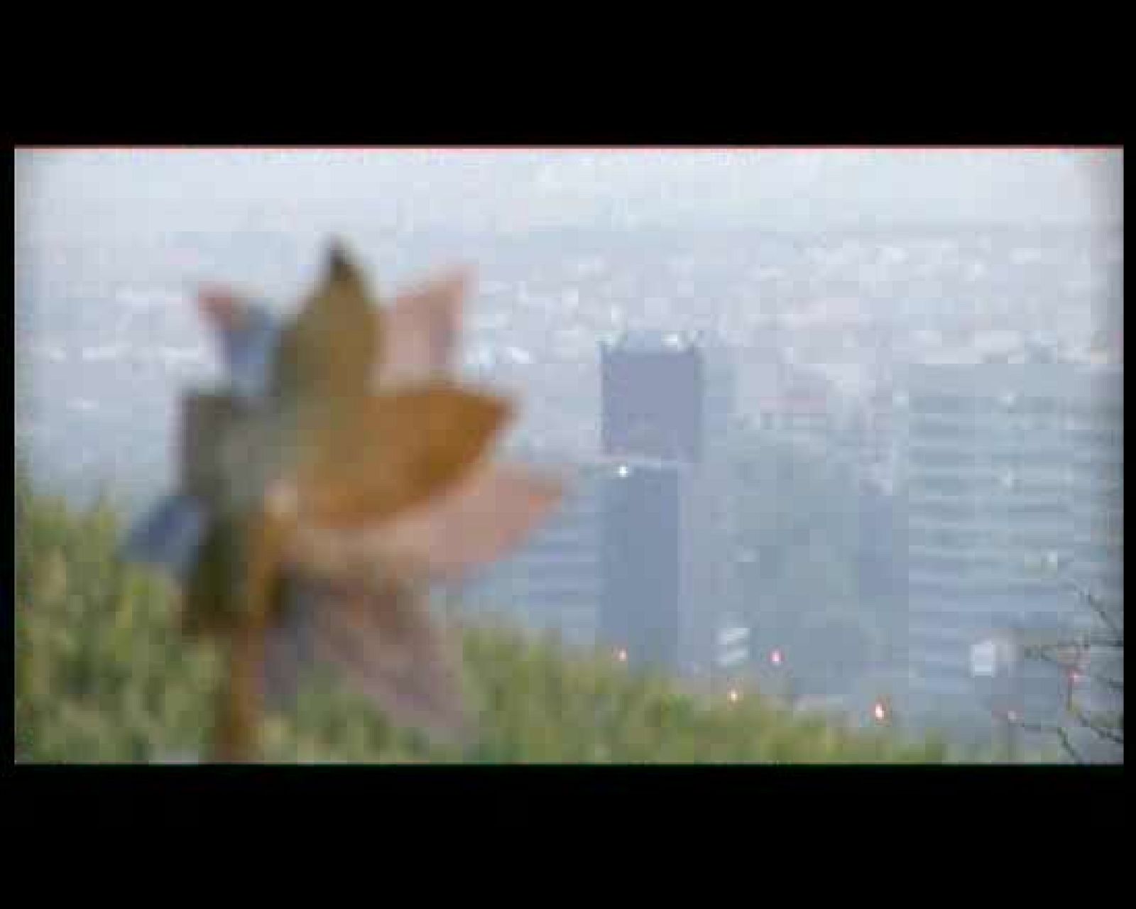 Ráfaga 659 - Evolución artificial | Ver