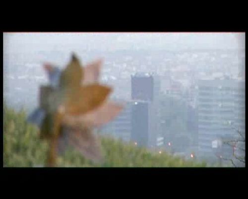 Miradas 2 - R��faga 659 - Evolución artificial