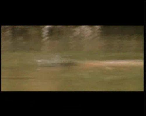 Miradas 2 - Ráfaga 7 - Sin título