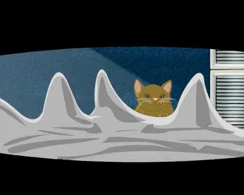 Miradas 2 - Ráfaga 139 - Buenos días