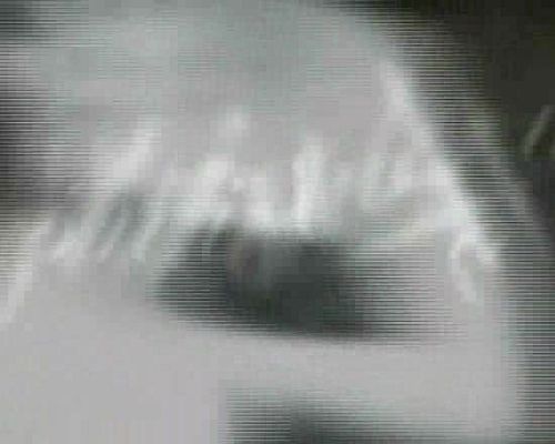 Miradas 2 - Ráfaga 202 - Sin título