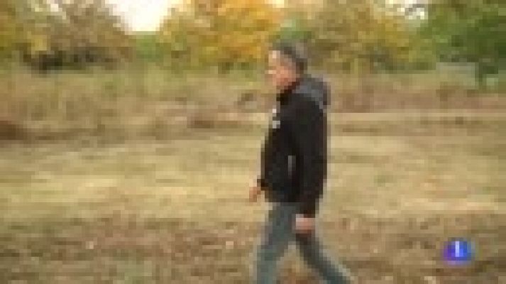 Telediario 1 - Las víctimas acusan al obispo que presidirá la comisión de la Iglesia contra la pederastia de ocultar los abusos cometidos