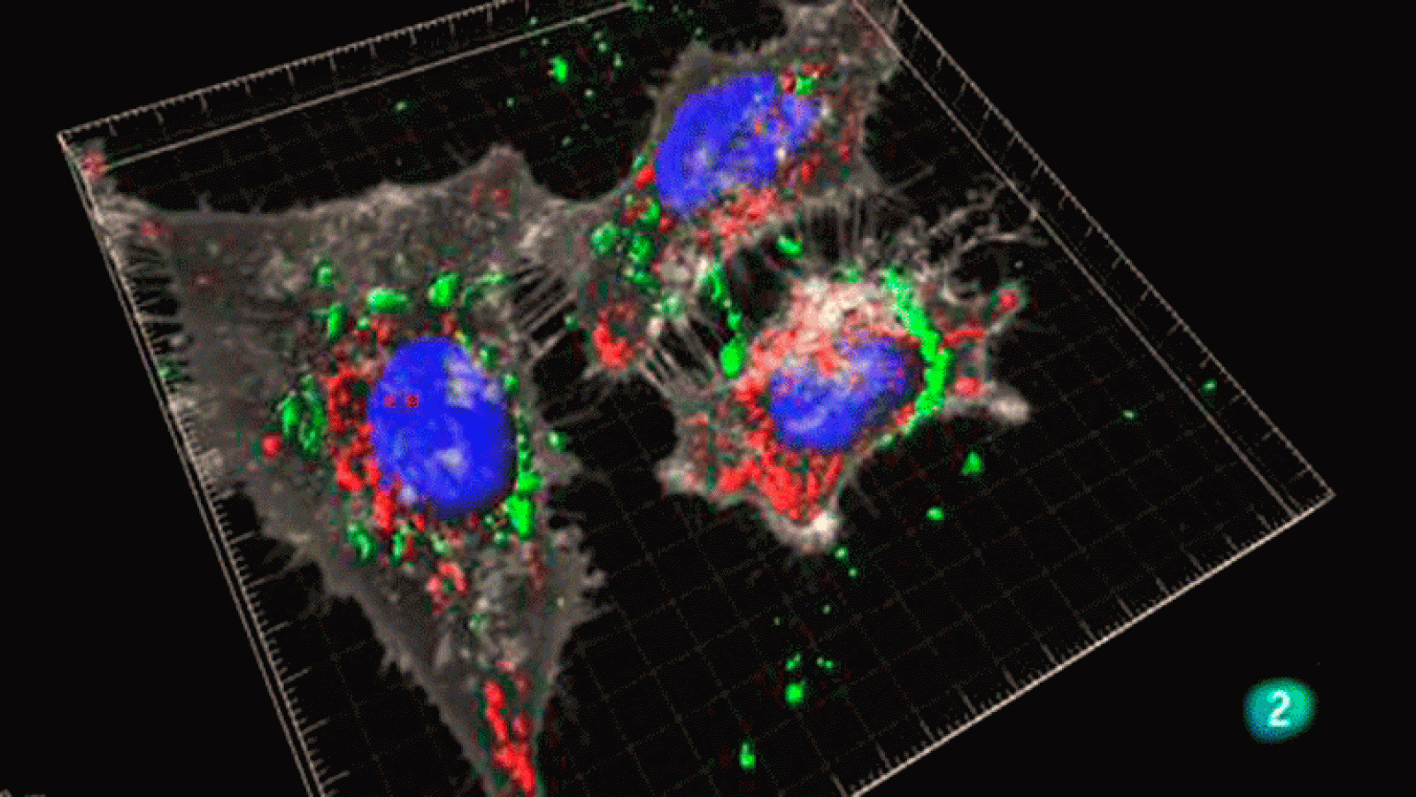 Universo Sostenible 8 La gran solución La aventura del saber Universidad