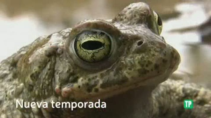 ¡Qué animal! - La nueva temporada de ¡Qué animal!, con Evelyn Segura