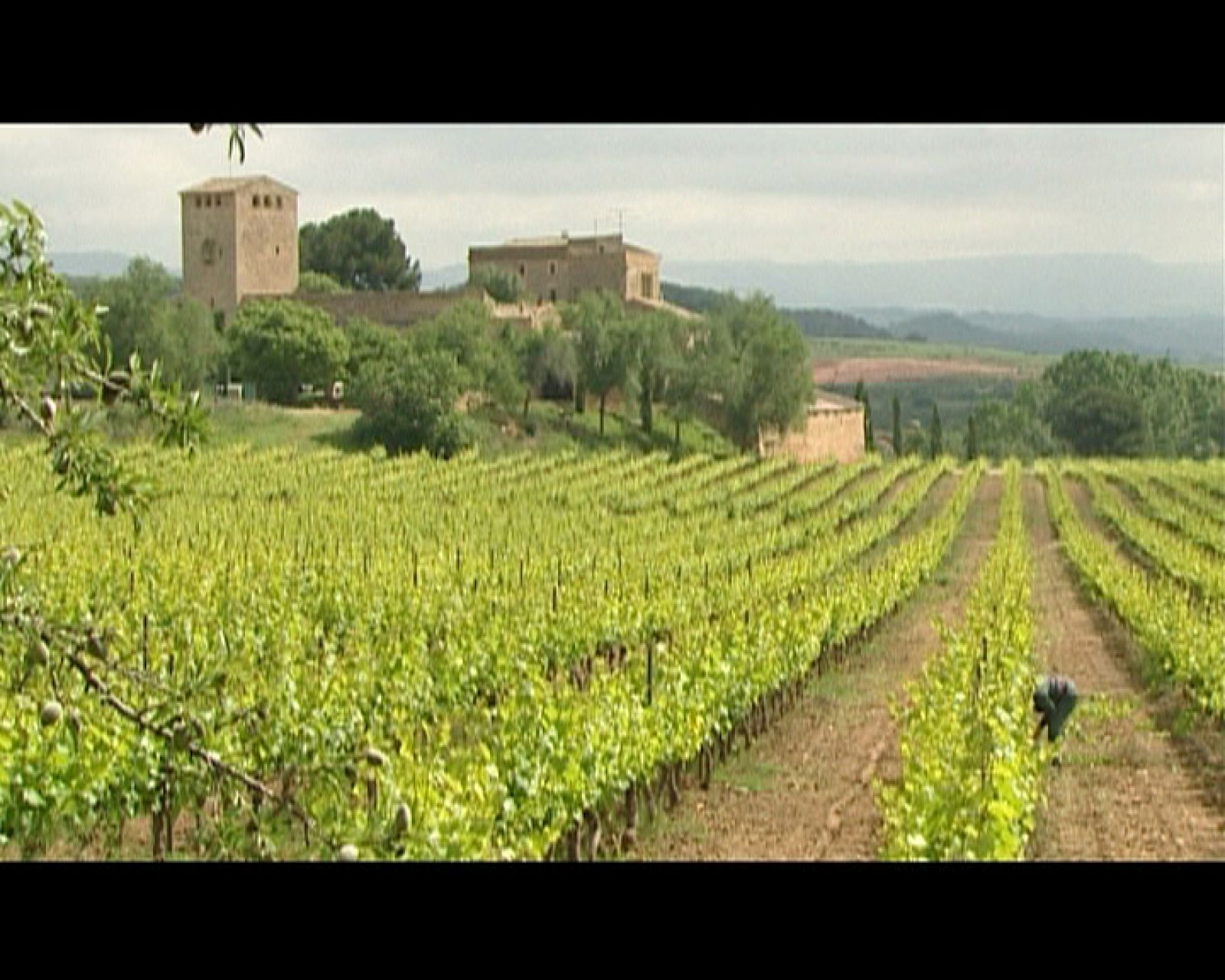 Aquí parlem: El medi ambient a Catalunya | RTVE Play