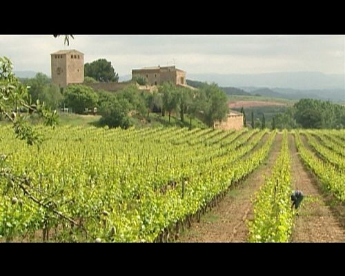 El medi ambient a Catalunya