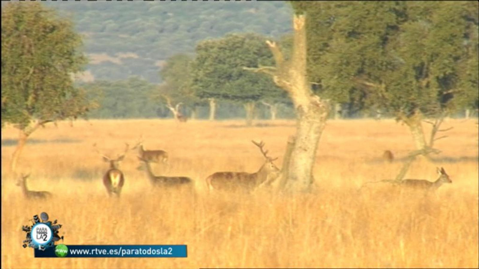 Para todos La 2 - Medio Ambiente - El Parque Nacional de Cabañeros