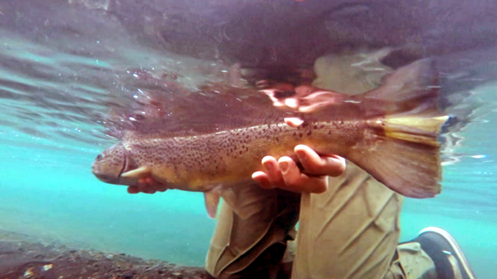 Otros documentales - Pesca imposible 2: Islandia - ver ahora