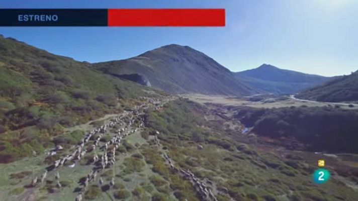 Días de cine - Barbacana. La huella del lobo