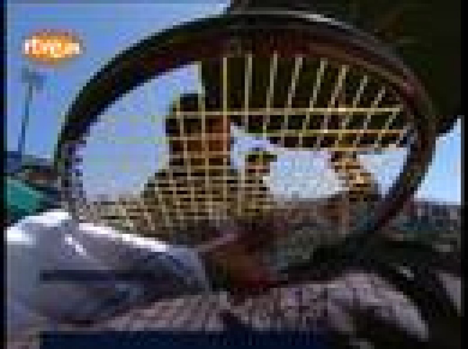 Rafa nadal ha vuelto a demostrar que él es el rey indiscutible de la tierra batida. El mallorquín se ha deshecho de Lapentti por 6-3 y 6-0