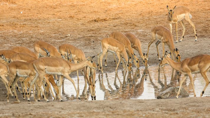Grandes documentales - New life: Nacidos para correr