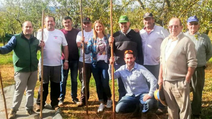 Aquí la Tierra - Recogida de almendras exprés