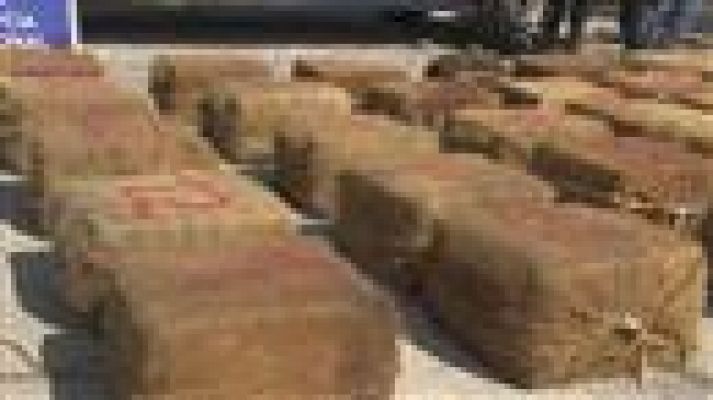 Telecanarias - Canarias en 2' - 23/10/2018