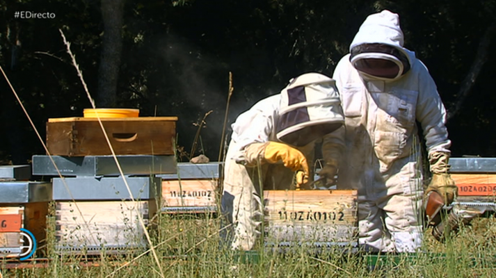 España Directo - España Directo - 24/10/18