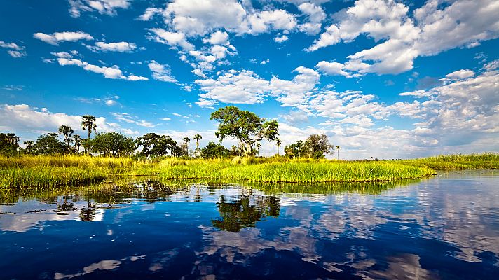 Botswana, la joya africana