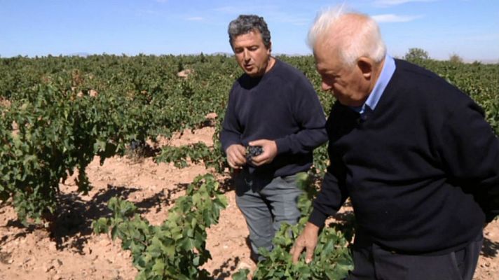Aquí la Tierra - Esta uva tiene mucha historia