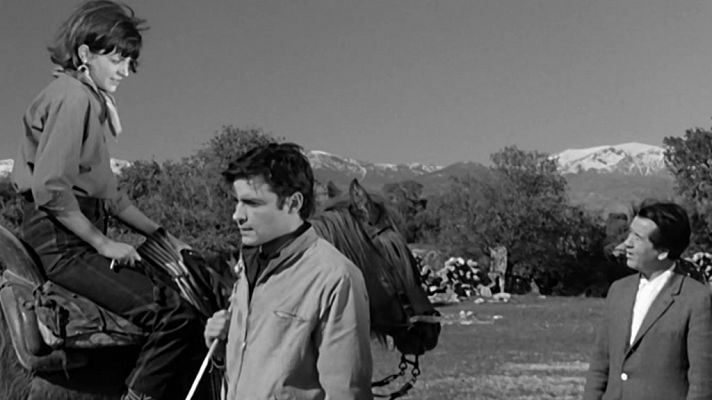 Historia de nuestro cine - Trágala, perro