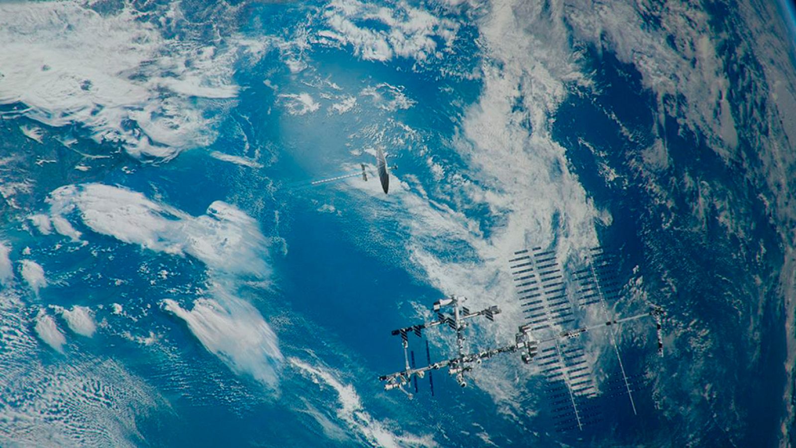 Documenta2 - Universo vivo: Segundo Génesis - ver ahora