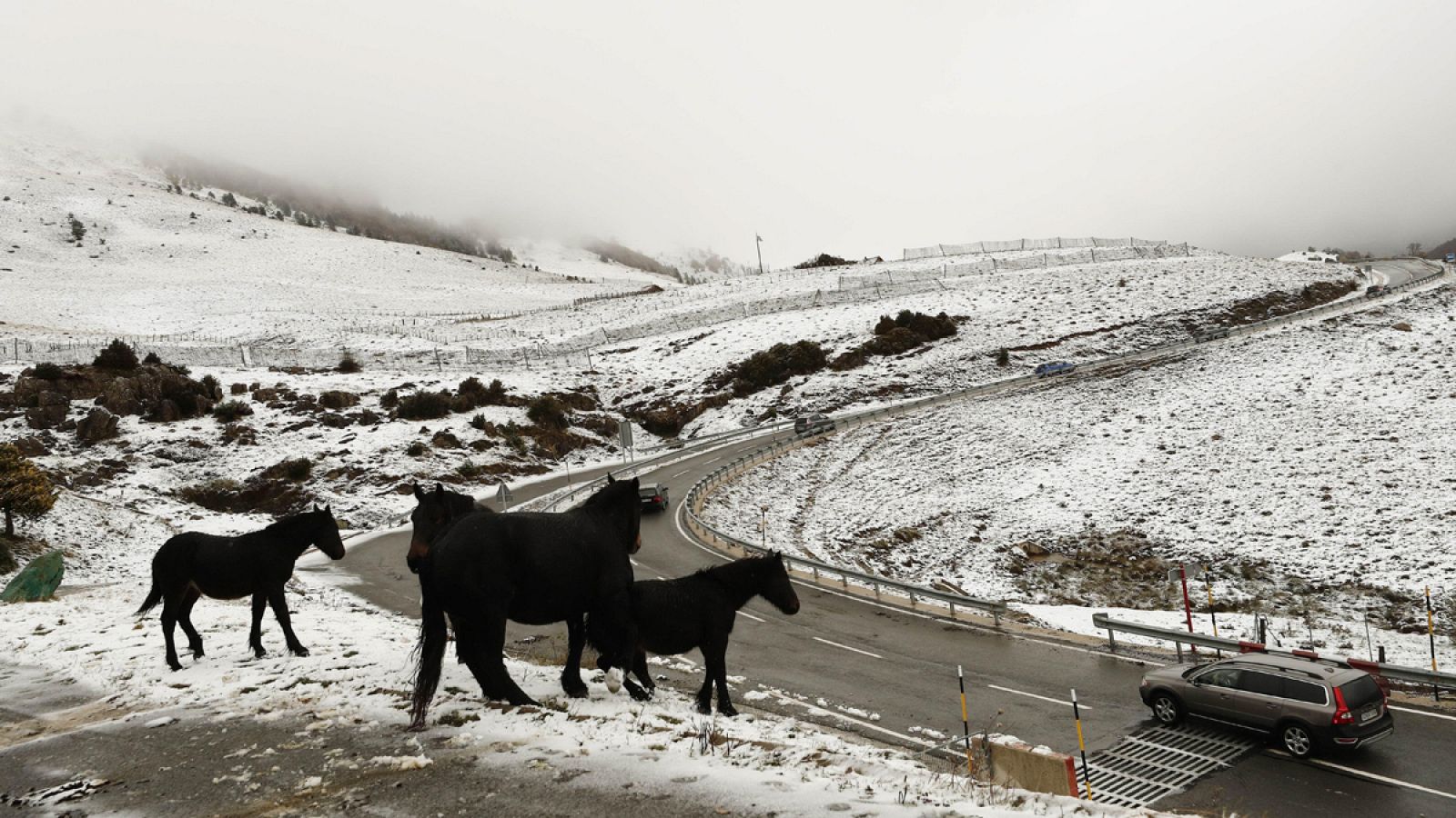 Telediario 1: Hallan con vida a los dos excursionistas perdidos en Girona durante el temporal  | RTVE Play