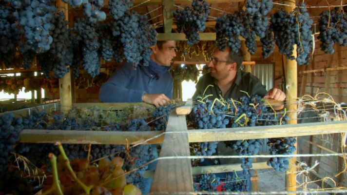 Aquí la Tierra - El vino "supurao"