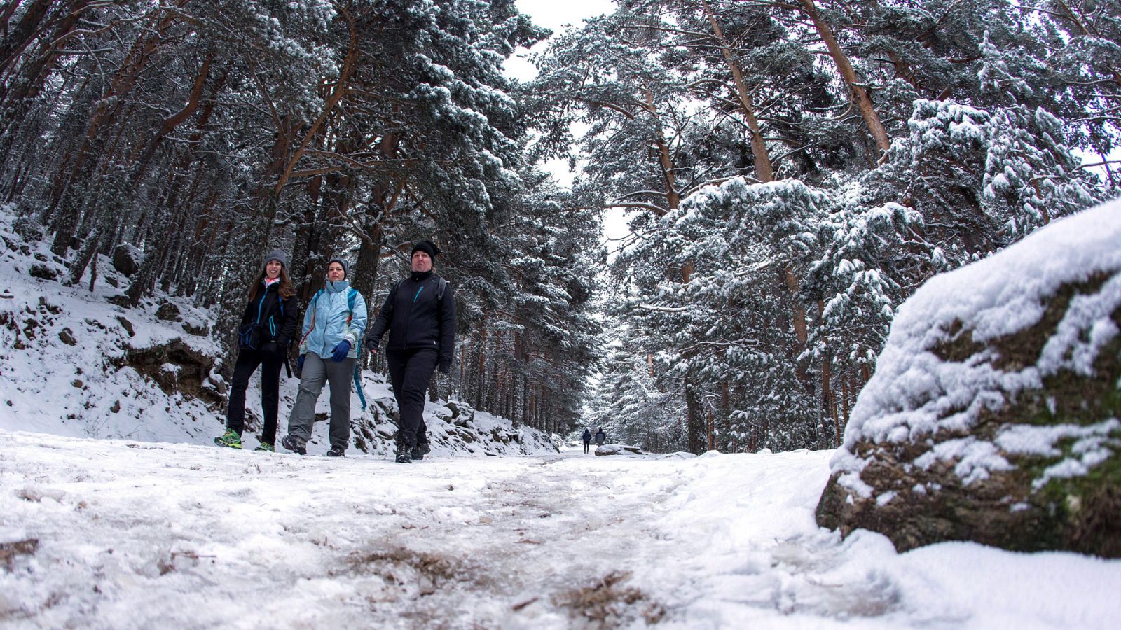 Informativo de Madrid - 30/10/18 - ver ahora
