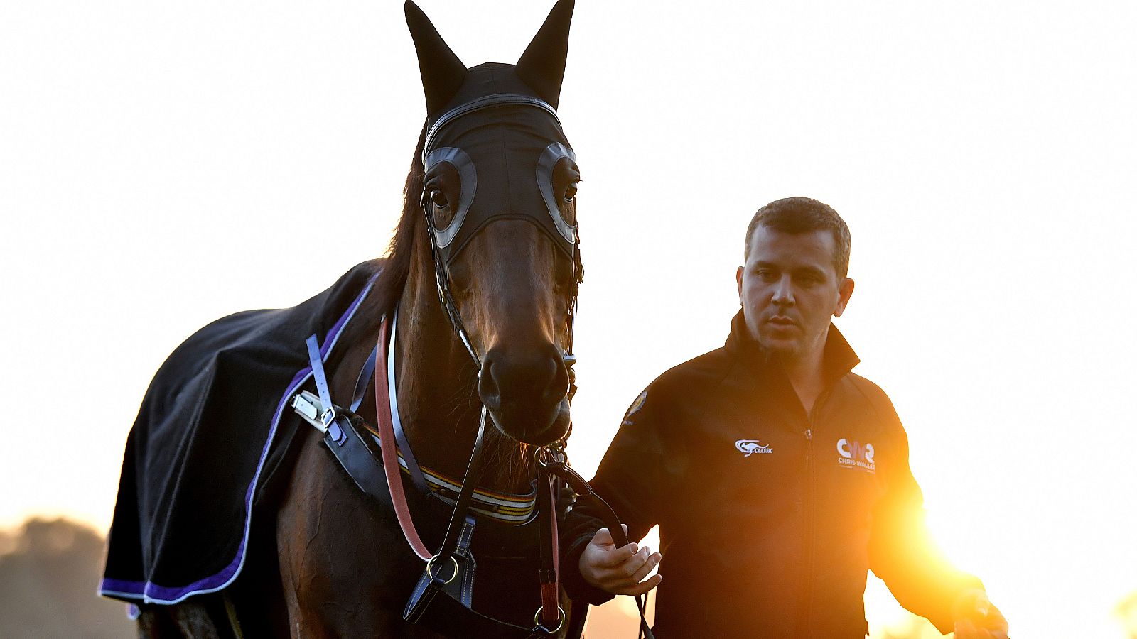 Lo gana todo, tiene una marca propia y hasta una cerveza... pero no es un deportista cualquiera. Winx es una yegua que ha conseguido 28 triunfos consecutivos y que es venerada en su país, del que nunca ha salido para correr.