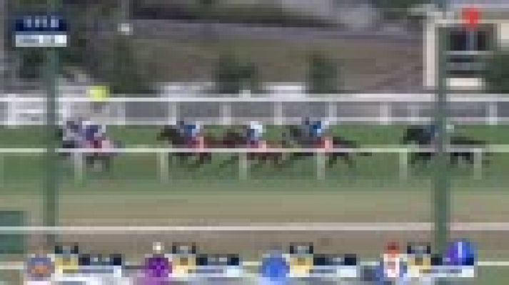 Telediario 1 - Winx, la sensación del deporte australiano