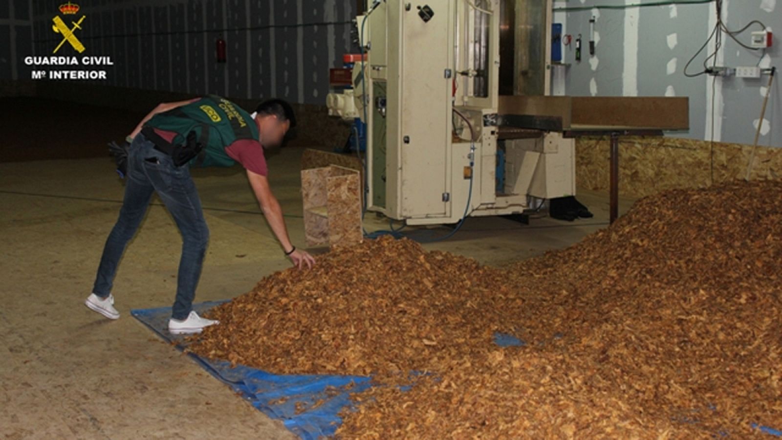 Desmantelada la mayor trama de tabaco falsificado: producían 34.000 cajetillas al día