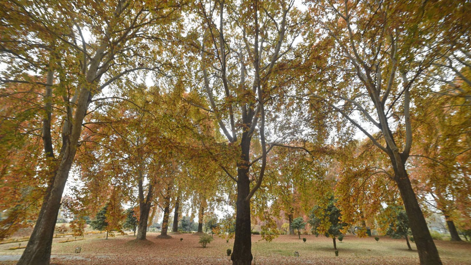 Nubes en el norte del país y lluvia localmente fuerte en Baleares para mañana