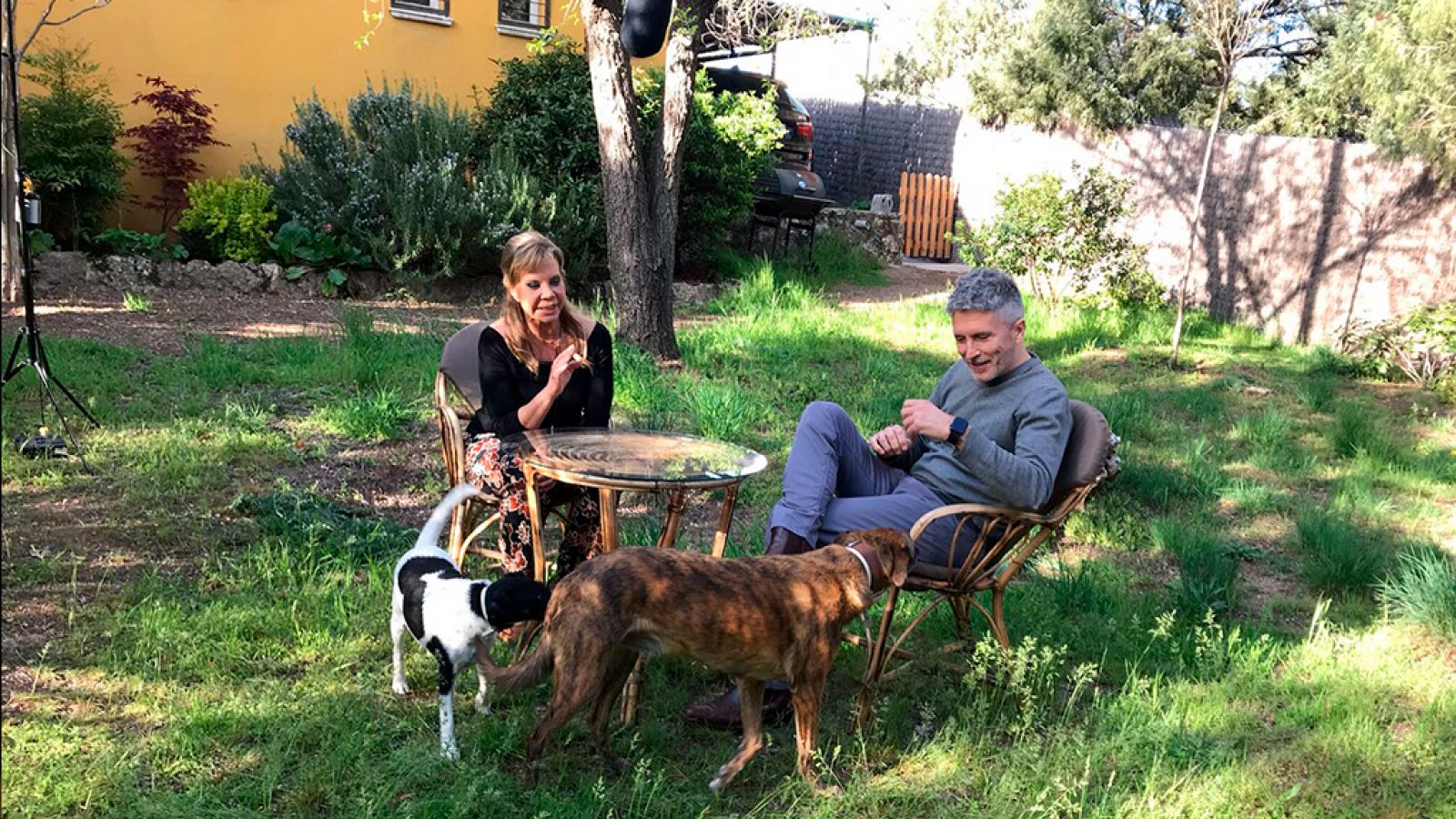 Gigantes de La 2 - Fernando Grande Marlaska - ver ahora