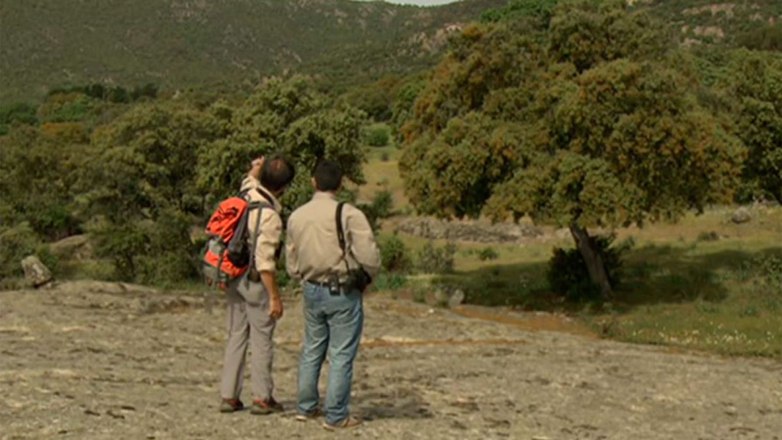 El turismo rural, una de las opciones más demandadas para el puente de Todos los Santos