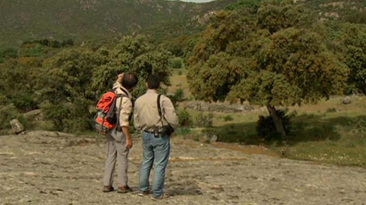 Telediario 1 - El turismo rural, una de las opciones más demandadas para el puente de Todos los Santos