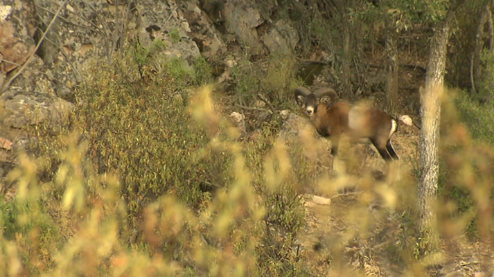 Jara y sedal - Nueva temporada, nuevas historias