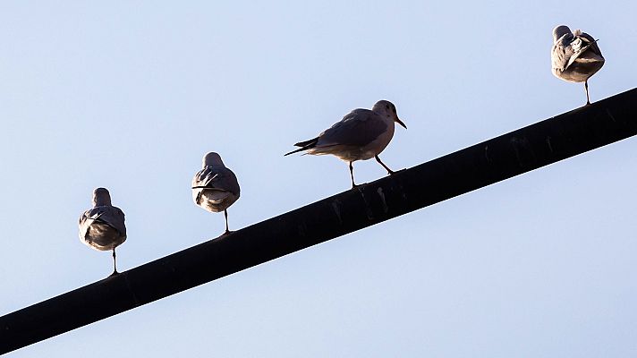 El tiempo - Predominio del tiempo estable y cielos poco nubosos o con intervalos
