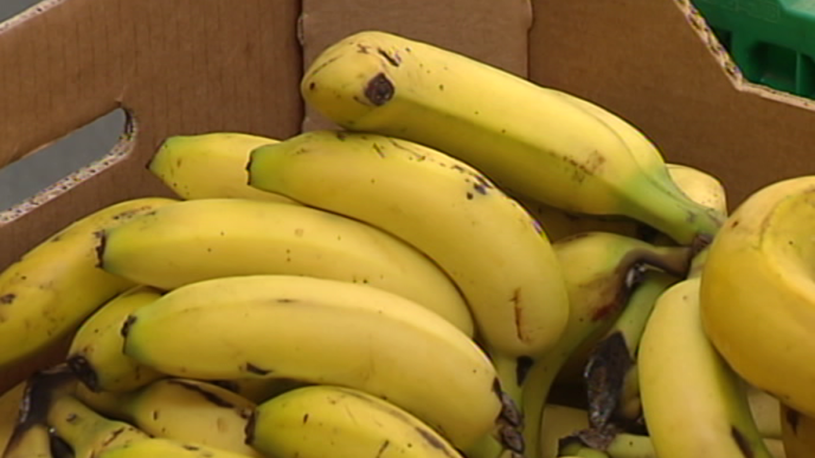 Agrosfera - 03/11/18 - ver ahora