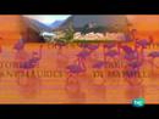 Espacios naturales - Picos de Europa