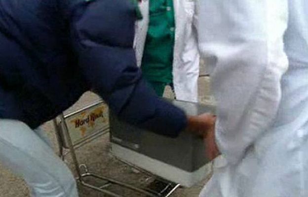 Ciencia y tecnología en Rtve.es - Venden un riñón por 100.000 euros