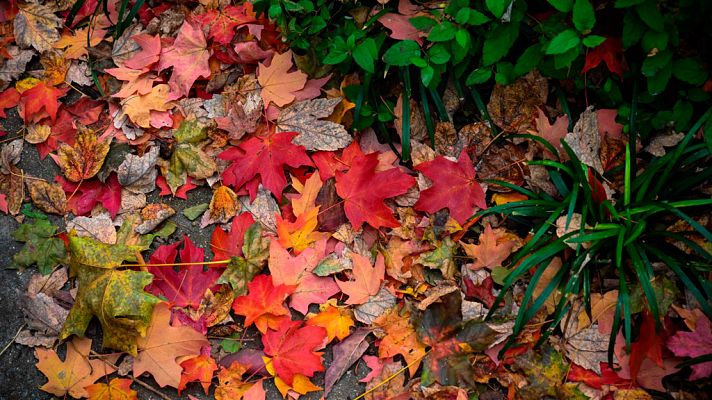 El tiempo - Las temperaturas sufrirán un descenso generalizado