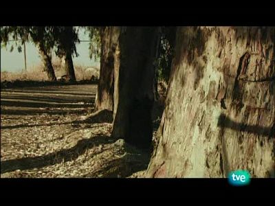 Camino de la plata 1