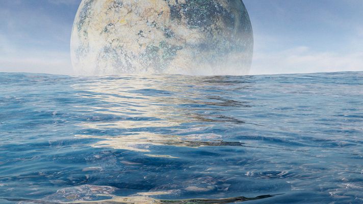 Documenta2 - Universo vivo: Contacto