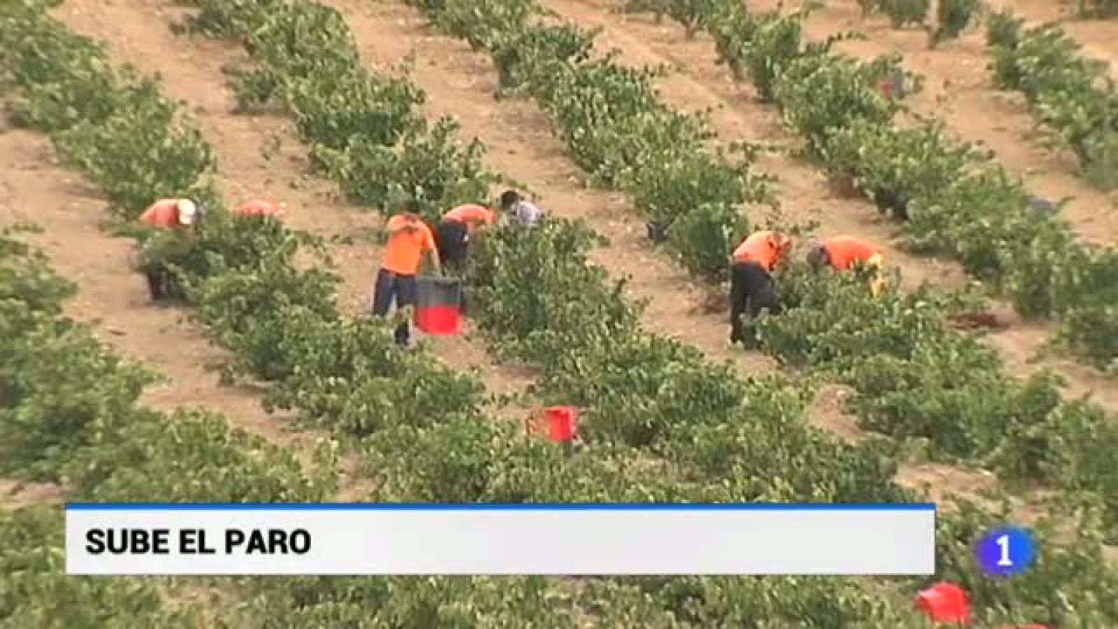 Castilla y León en 1' - 05/11/18