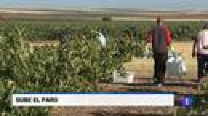 Noticias de Castilla y León - Castilla y León en 1' - 05/11/18