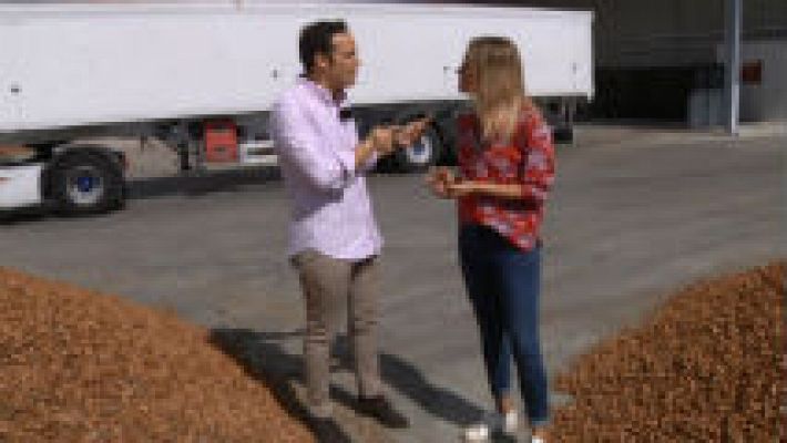 Aquí la Tierra - La almendra Marcona, ¡algo muy nuestro!