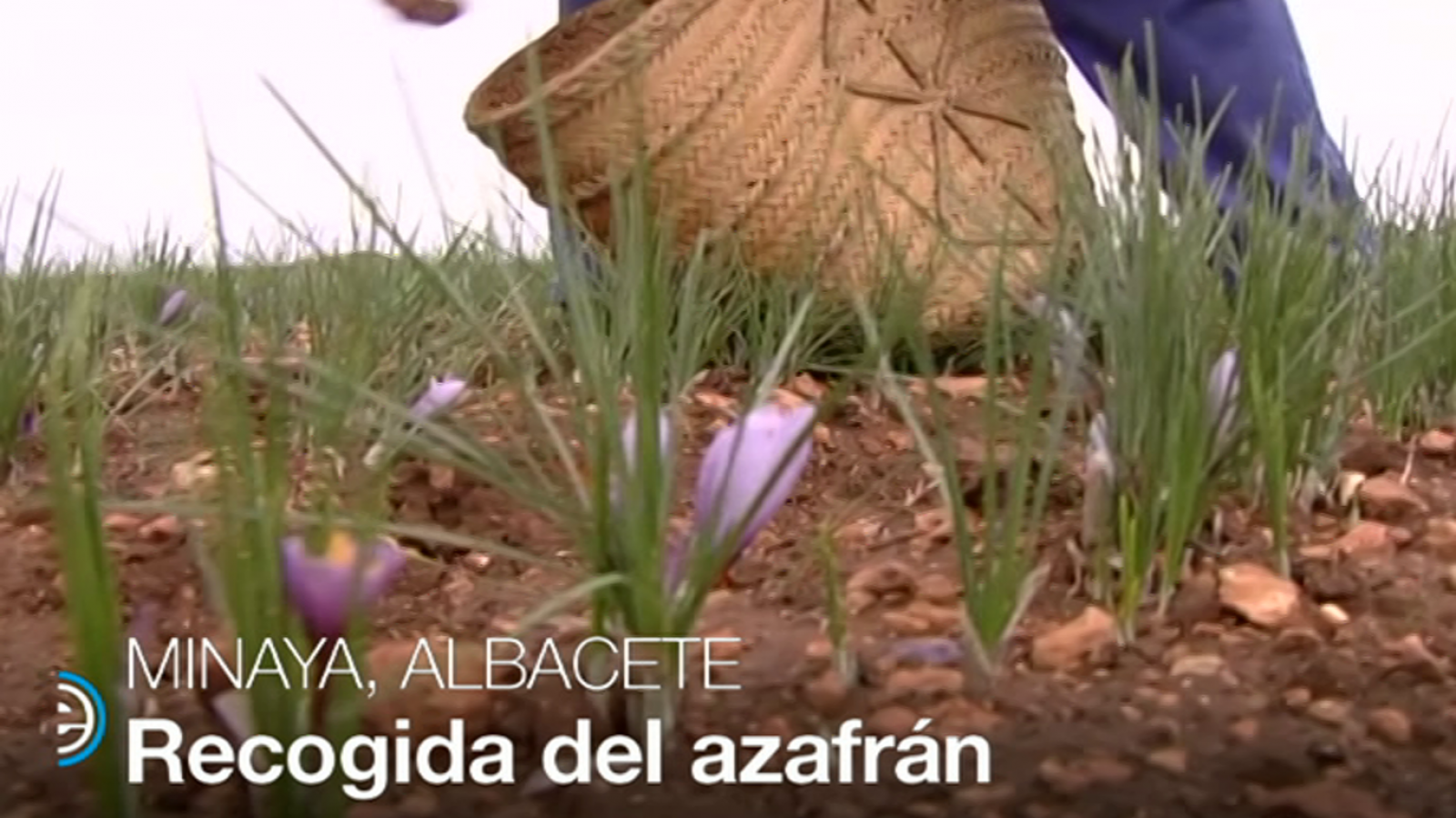 España Directo - 05/11/18 - ver ahora