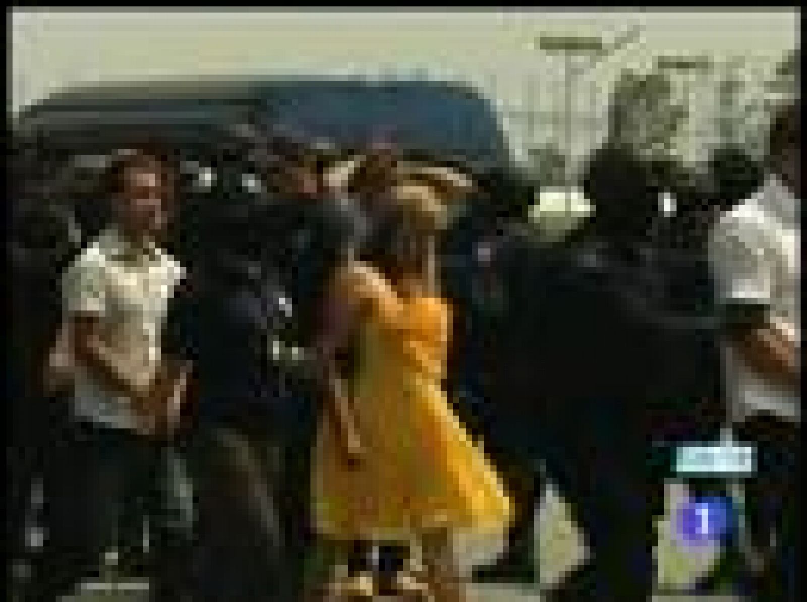 Detienen a 44 presuntos narcotraficantes mexicanos de la misma familia | Ver