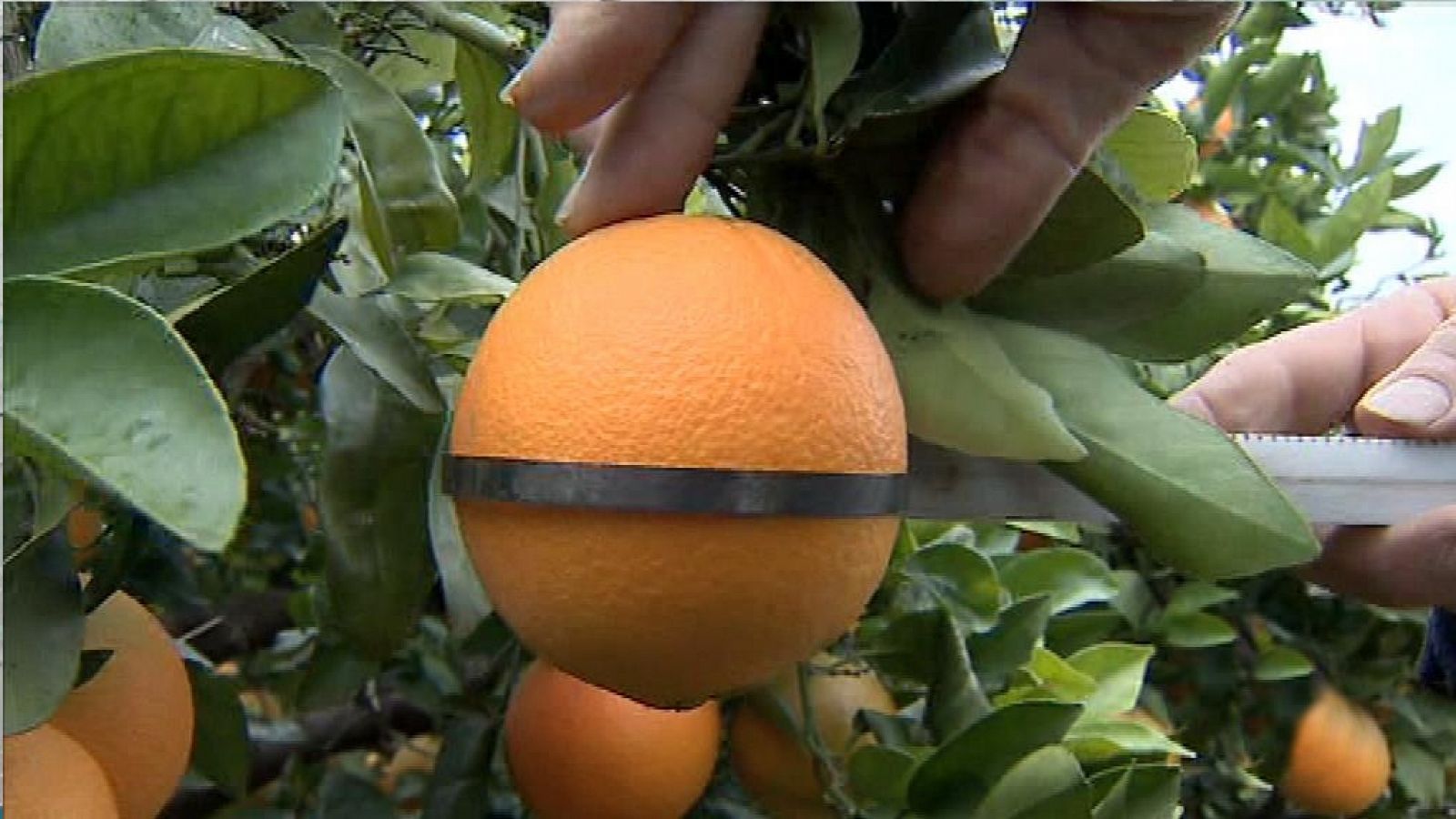 La Comunidad Valenciana en 2' - 06/11/18 - ver ahora