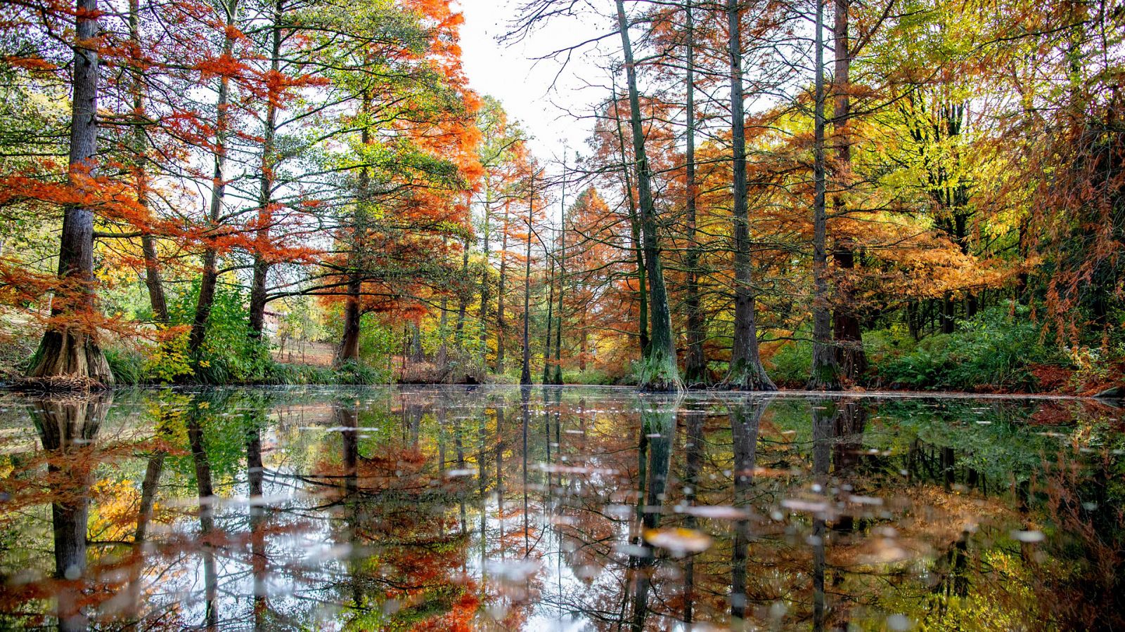 El Tiempo en la Comunidad de Madrid - 06/11/18 - ver ahora