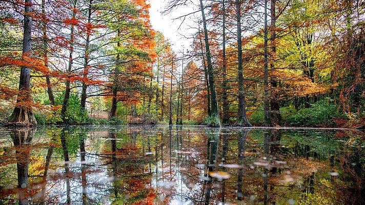 Informativo de Madrid - El Tiempo en la Comunidad de Madrid - 06/11/18