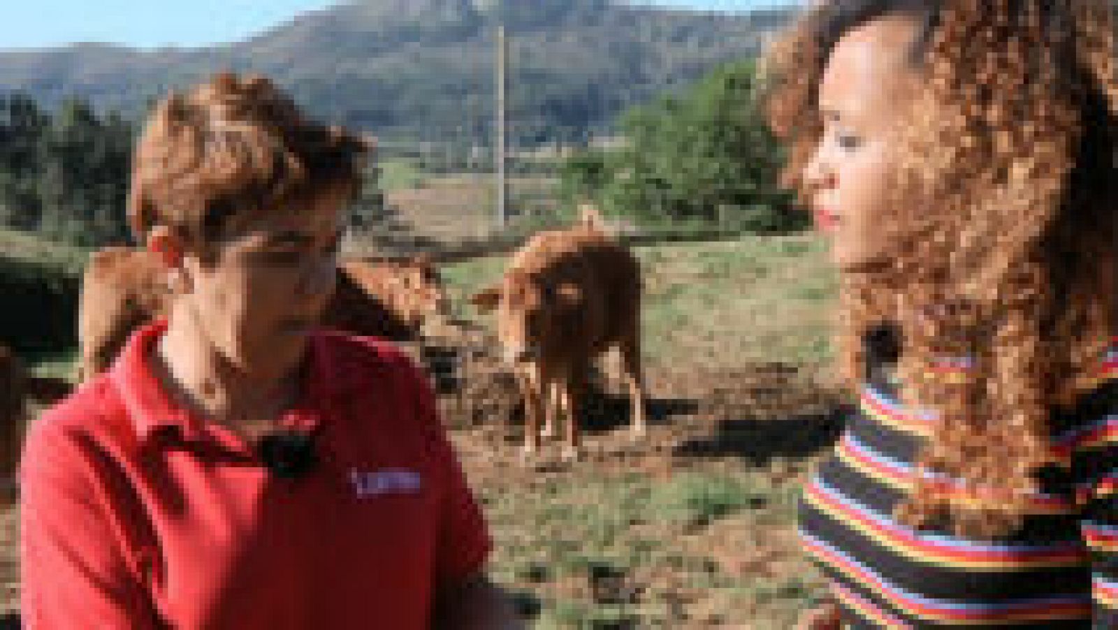 ¿A qué equivale un carro de tierra?